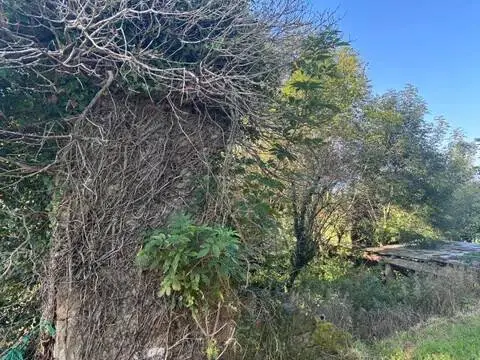 Casa rústica en Saro