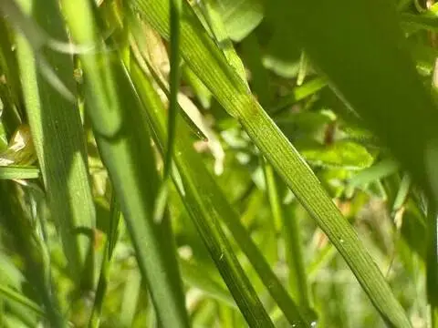 Terreno en calle El Puerto, 32