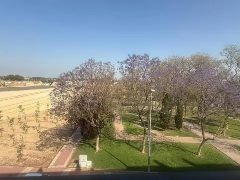 Piso en Algezares