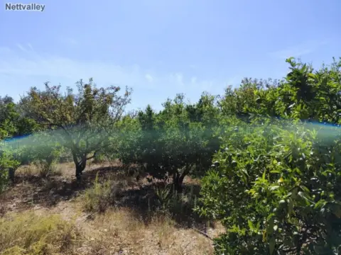 Casa rústica en calle Parcela Pago Cazorlas de Murchas