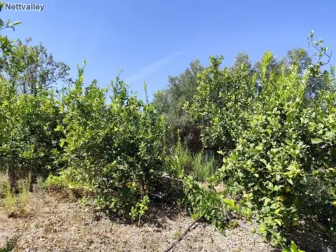 Casa rústica en calle Parcela Pago Cazorlas de Murchas