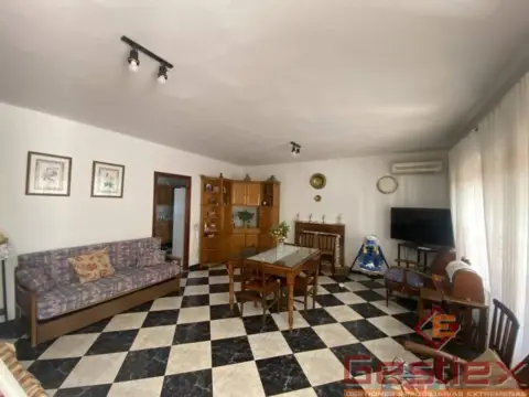 Chalet en Almendralejo