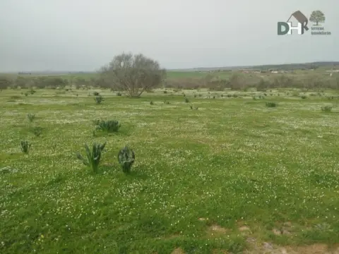 Terreno en Sur