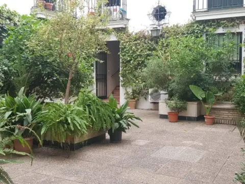 Piso en Museo