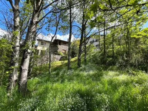 4-bedroom chalet for sale in L'Aldosa, La Massana · 3 of 60