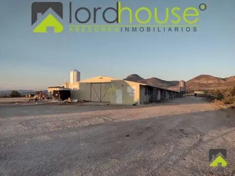 Nave industrial en Lorca