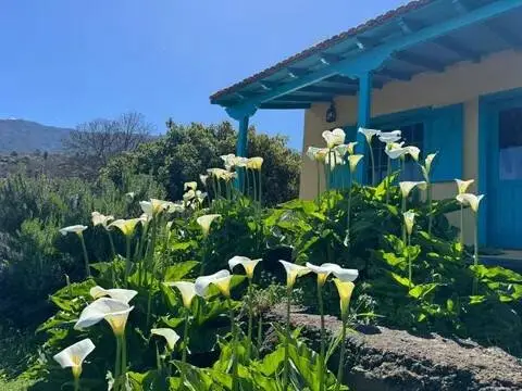 Casa rústica en La Orotava