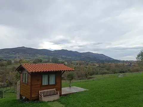 Terreno en calle Al Pedruno Suelo Poligono 49 Parcela 432 Huerta, 4