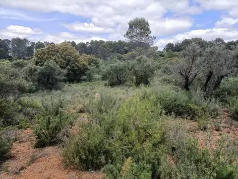 Terreno en Renera