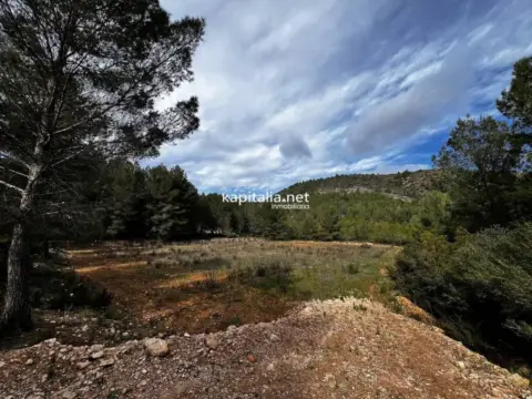 Terreno en L'Olleria