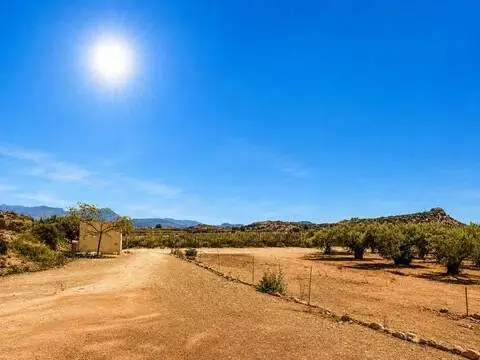 Terreno en Agost