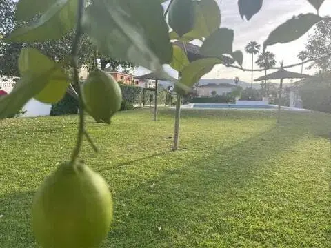 Casa en Colonia San Miguel-Los Pinos