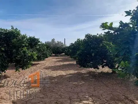 Terreno en Vilamarxant