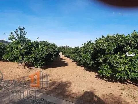Terreno en Vilamarxant