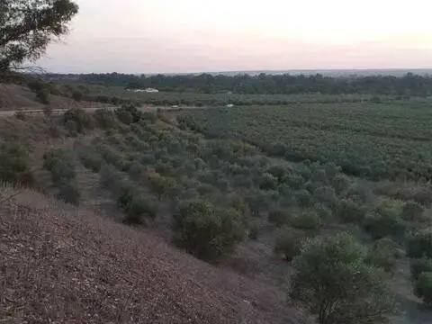 Terreno en Sanlúcar la Mayor