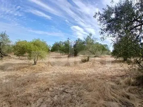 Terreno en Sanlúcar la Mayor