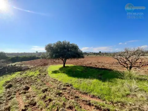 Casa rústica en Cartagena