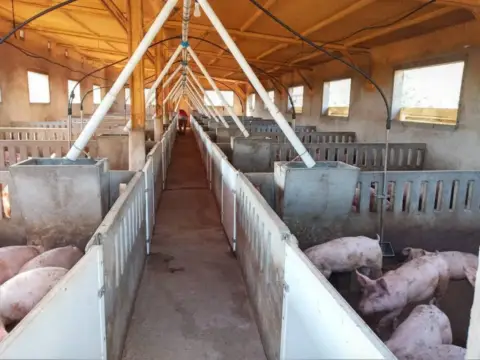 Terreno en Villa de Mazarrón