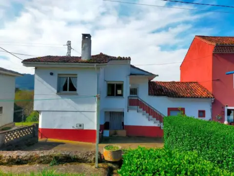 Piso – Pravia