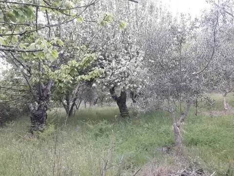 Casa rústica en Candeleda