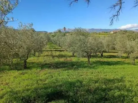 Terreno en Guaro
