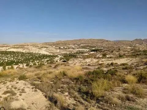 Terreno en calle calle Mayor S-N