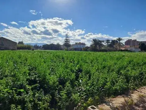 Terreno en Murcia Capital