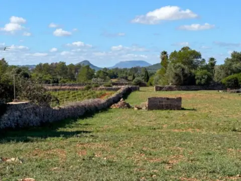 Casa rústica en Santa Margalida