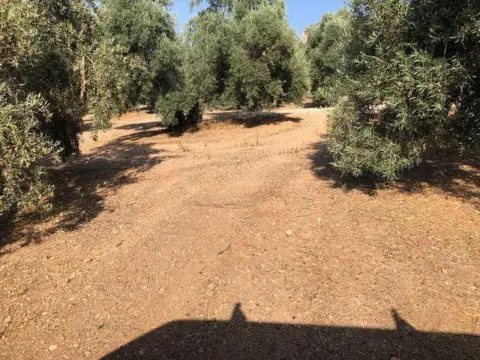 Terreno en Archidona