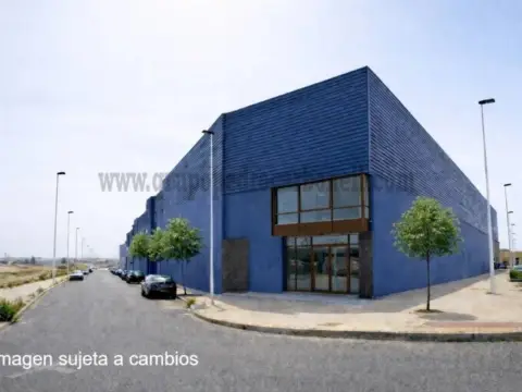 Nave industrial en San Antón-El Palmeral