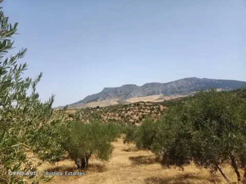Terreno en El Burgo