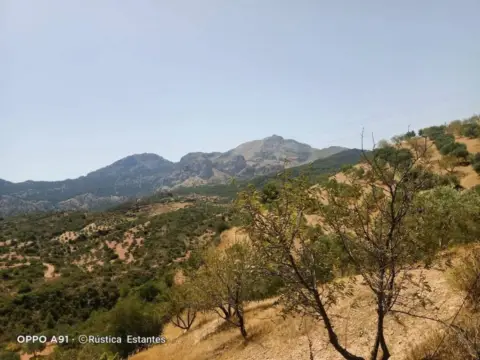 Terreno en El Burgo