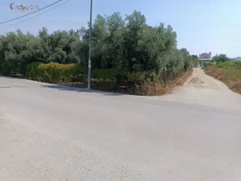 Terreno en Área de Molina de Segura