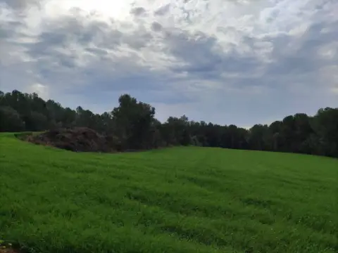 Terreno en Vilopriu