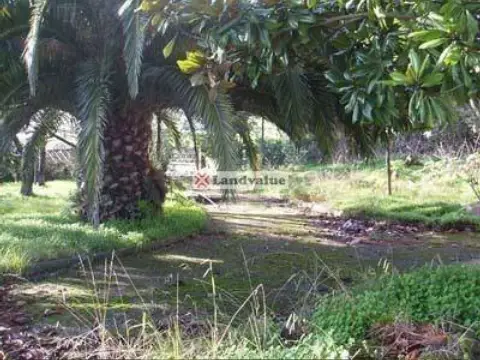 Terreno en calle calle Santo Domingo