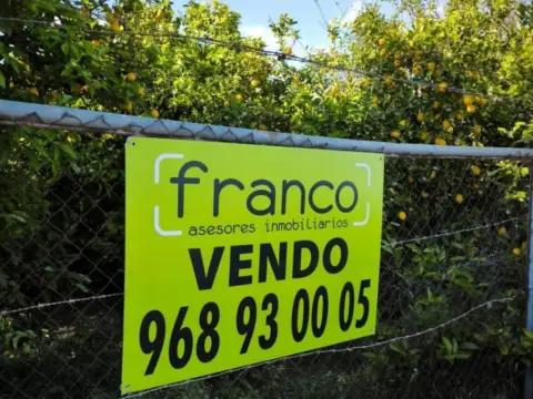 Terreno en Rincón de Beniscordia