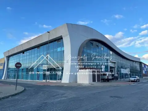 Local comercial en Campo de Aras