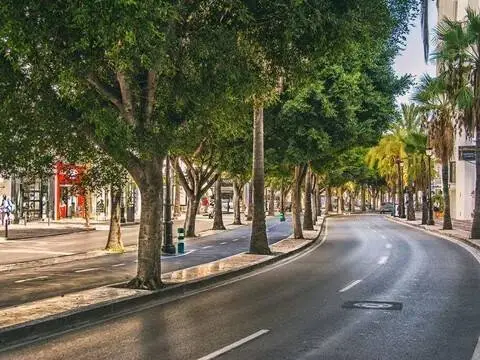 Local comercial en Puerto Banús