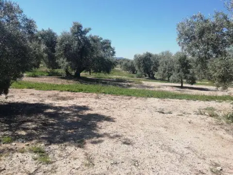 Terreno en Archidona