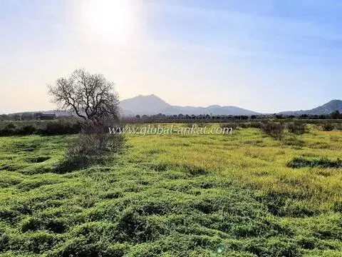 Terreno en Felanitx