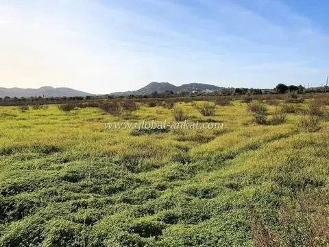 Terreno en Felanitx