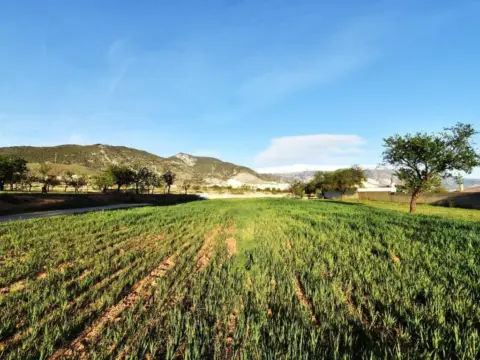 Terreno en Padul