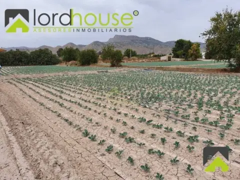 Terreno en La Viña-San José