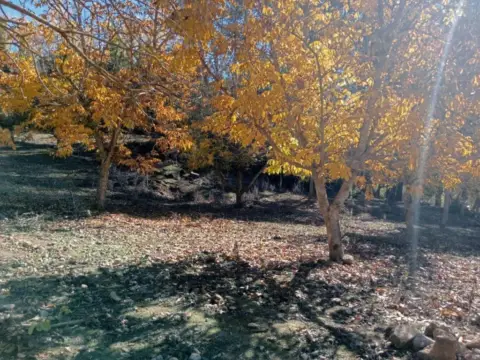 Terreno en Archidona