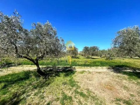 Terreno en Espolla