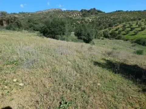 Terreno en Guaro