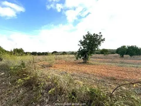 Terreno en Felanitx