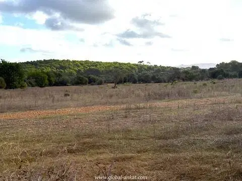 Terreno en Felanitx