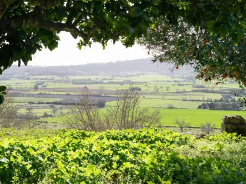 Casa rústica en Sineu