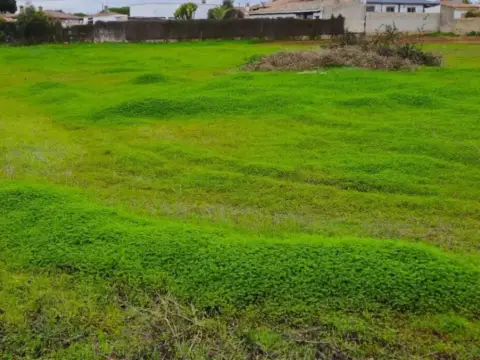 Terreno en Chiclana de la Frontera